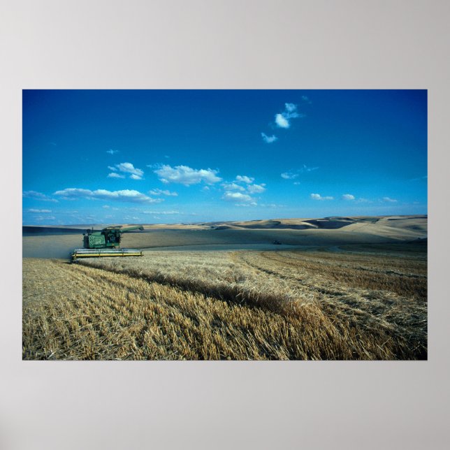 Poster Colheita de cevada (Frente)