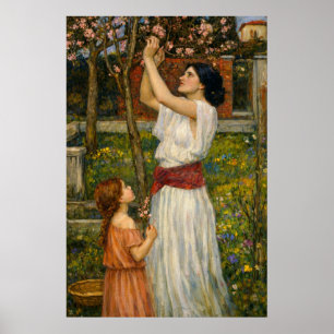 Poster Colheita de Flores de Amendoeira por Waterhouse