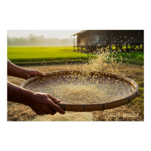 Póster Colheita de Grãos, Campo de Arroz