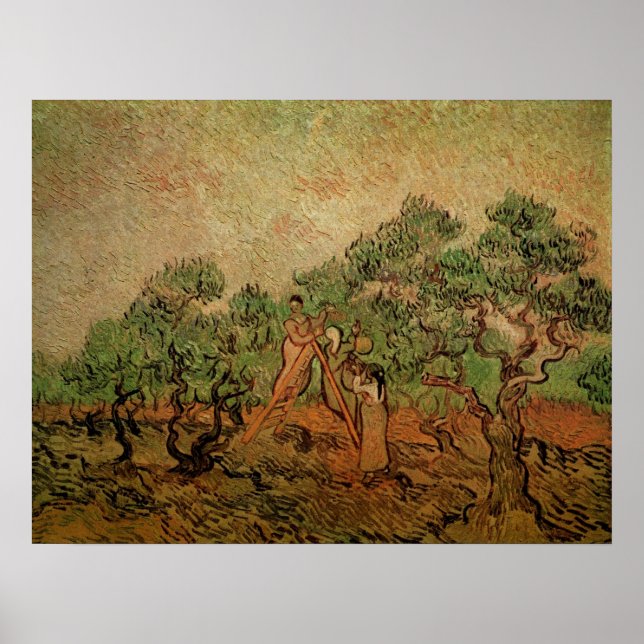 Poster Colheita de Oliveiras por Vincent van Gogh (Frente)