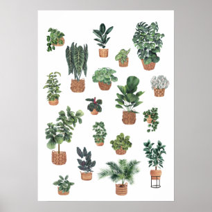 Poster Colheita de plantas 6