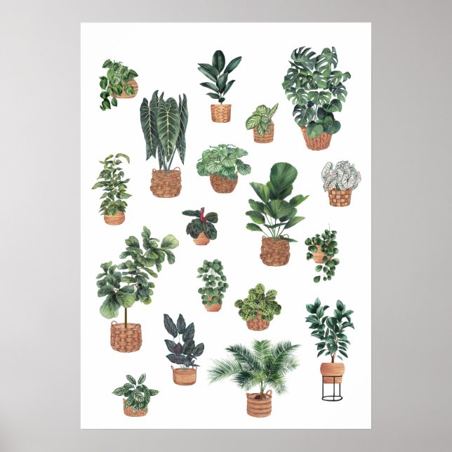 Poster Colheita de plantas 6 (Frente)