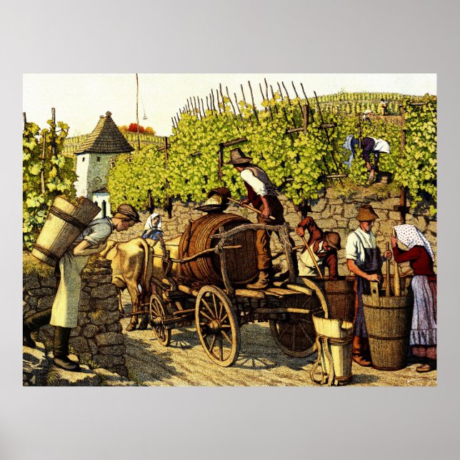 Póster Colheita de Uvas 1890 (Frente)