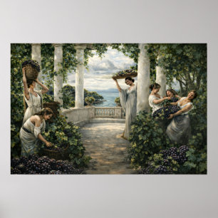 Poster Colheita de Uvas da Vinha Mediterrânea