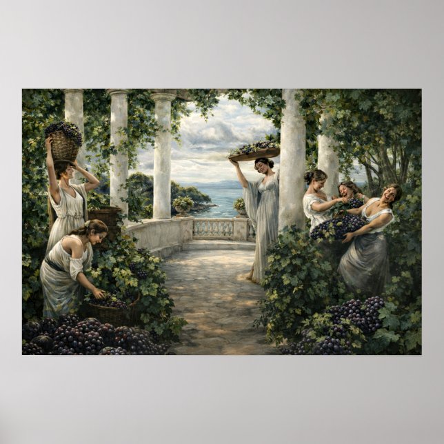 Poster Colheita de Uvas da Vinha Mediterrânea (Frente)