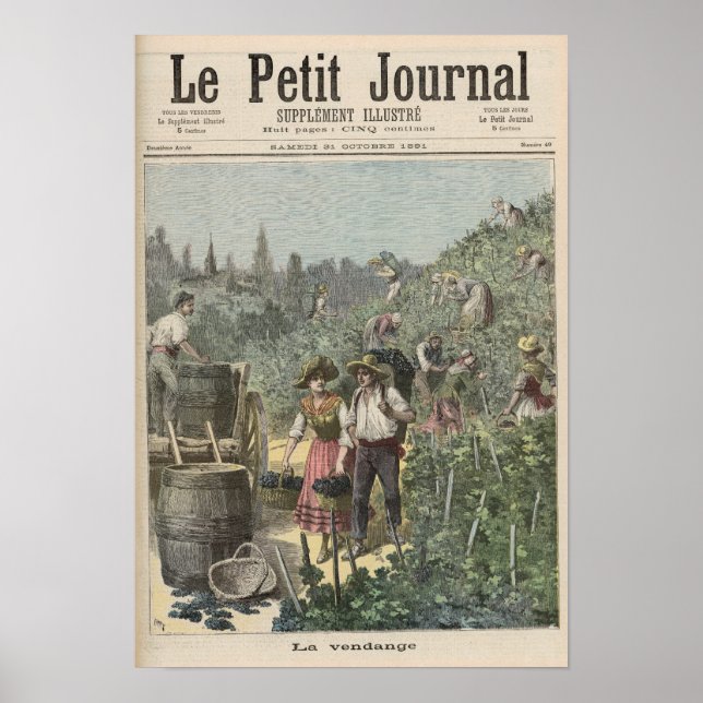 Póster Colheita De Vinhos (Frente)