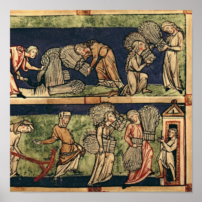 Poster Colheita, Escola do Reno (Frente)