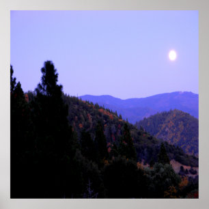 Poster Colheita Lua.....