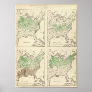 Póster Colheitas, litografia estatística dos E.U.