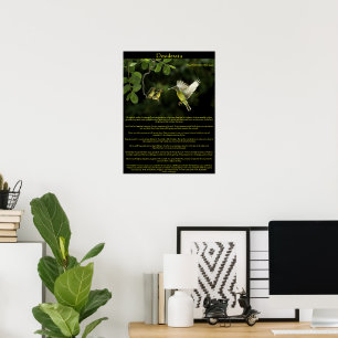 Poster Colibri dos Desiderata com bebês