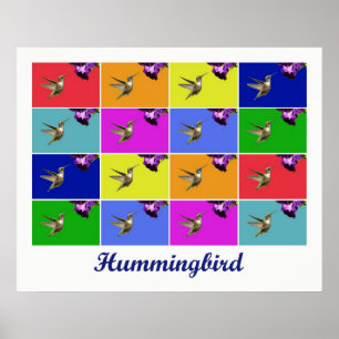 Poster Colibri x16 (intitulado)