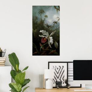 Póster Colibris e orquídea branca por Martin J. Heade