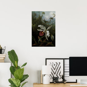 Póster Colibris e orquídea branca por Martin J. Heade