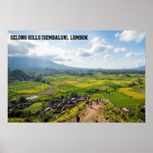 Colina Selong Sembalun Lombok Campo de Arroz Arte