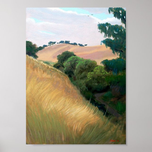 Póster Colinas da Califórnia (Frente)