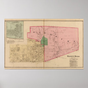 Póster Colinas da noz, Ohio