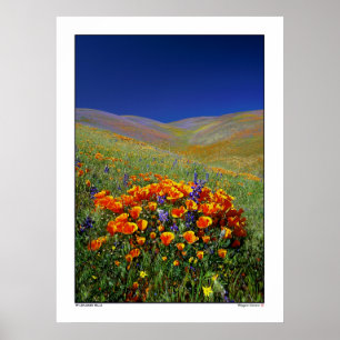 Póster Colinas de flor selvagem