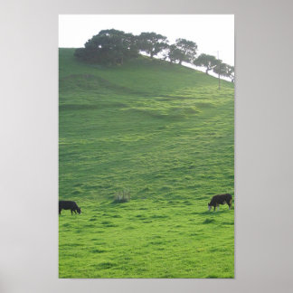 Póster Colinas em 227