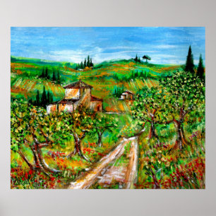 Poster Colinas Verdes E Oliveiras Paisagem Da Toscana