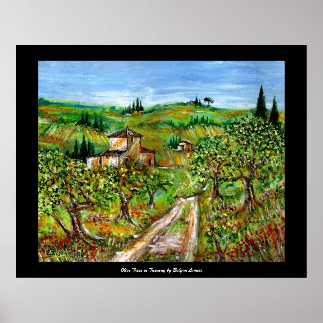 Póster Colinas Verdes E Oliveiras Paisagem da Toscana (Frente)