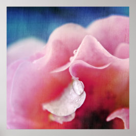 Poster Colírio na Abstrato Rosa Rosa Rosa Rosa Rosa Rosa 