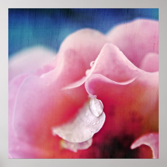 Poster Colírio na Abstrato Rosa Rosa Rosa Rosa Rosa Rosa  (Frente)