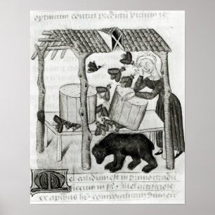 Poster Collecting Honey