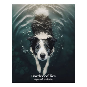 Póster Collie de borda - poster
