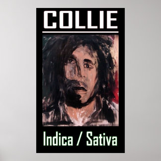 POSTER COLLIE INDICA SATIVA