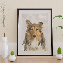 Collie Poster