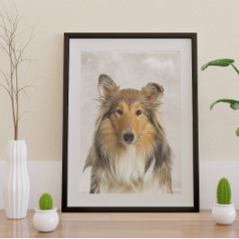 Póster Collie Poster