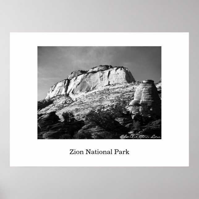 Poster Colmeia e Monólito (Frente)