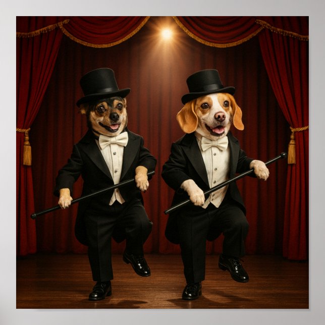 Poster "Colocando no Ritz" (Frente)