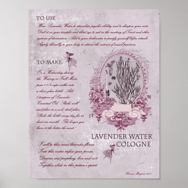 Poster COLÔNIA DE ÁGUA lavanda (Frente)