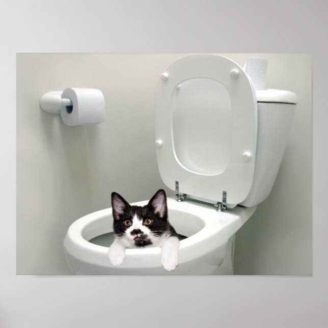 Póster Coloque a tampa para baixo (Frente)