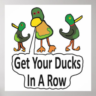 Poster Coloque Seus Patos Em Uma Fila