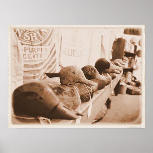 Poster Coloque seus pés em uma linha (Frente)