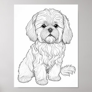 Poster Coloração Adulta do Cão Llasa Apso