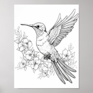 Poster Coloração de Adultos do Hummingbird