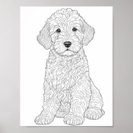 Poster Coloração do adulto Labradoodle
