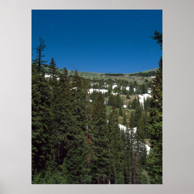 Póster Colorado (Frente)