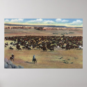 Póster Colorado - Arredondamento de Cowboys
