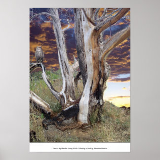 Poster Colorado Sunset