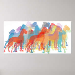 Póster Colored Danes