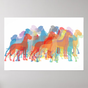 Póster Colored Danes