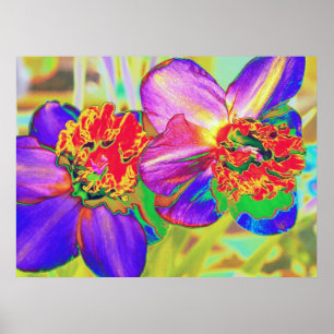 Póster Colorful daffodil print