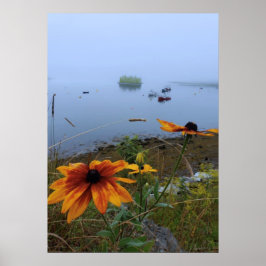 Poster Colorful Daisy, Lubec Maine