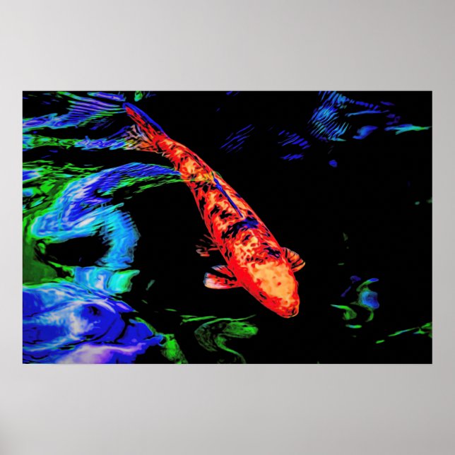 Póster Colorful Koi (Frente)