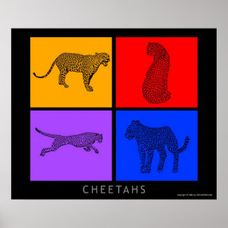 Póster Colorida Cheetah