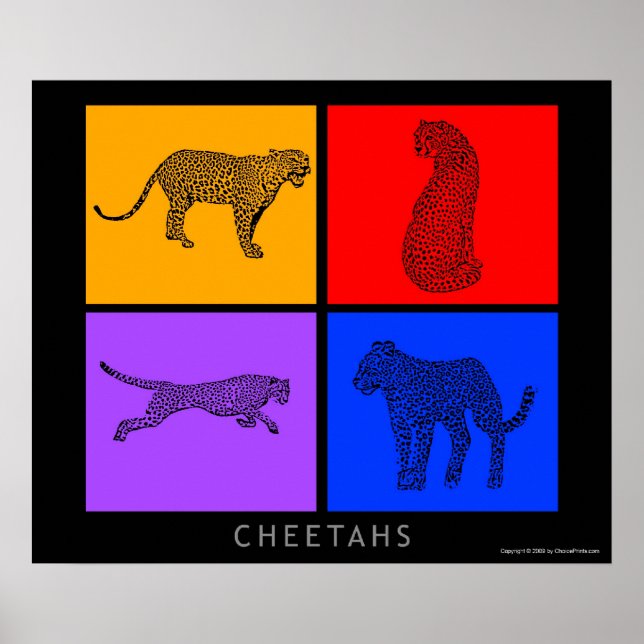 Póster Colorida Cheetah (Frente)